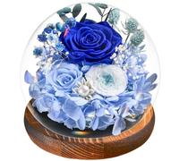Rose Éternelle Bleue, Rose sous Cloche, Fleur Préservée Naturelle avec Lumière LED, Base en Bois de Pin et Carte de Voeux - Cadeau Femme, Maman pour Saint Valentin, Fête des Mères, Anniversaire