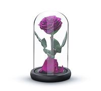 Rose éternelle | Cadeau de Rose fraîche | Conservée Pendant 5 Ans | Cadeaux pour Femmes Anniversaire Unique Insolite | Fête des mères, Anniversaire, Noël, Valentin Day