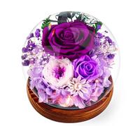 Rose Eternelle Cadeau Femme Fleur Éternelle - Rose sous Cloche, Naturelle Fleur avec Lumière LED Pine Base et Carte de Voeux, Copine et Maman Mamie, Cadeaux pour Elle pour Noel, Saint Valentinla