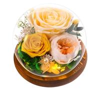 Rose Eternelle Cadeau Femme Fleur Éternelle - Rose sous Cloche, Naturelle Fleur avec Lumière LED Pine Base et Carte de Voeux, Copine et Maman Mamie, Cadeaux pour Elle pour Noel, Saint Valentinla