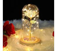 Rose Eternelle Cadeau Femme Noel, La Belle et la Bête Rose en Verre avec Lumières LED Pine Base pour Cadeau Fête des Mères Saint Valentin Anniversaire Mariage pour Ses Femmes Petite Amie épouse