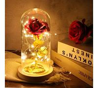 Rose Eternelle Cadeau Fete des Meres, La Belle et la Bête Rose en Verre avec Lumières LED Pine Base pour Fête des Mères Saint Valentin Anniversaire Mariage pour Ses Femmes Petite Amie épouse mère