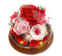 Rose Eternelle Cadeau Noel Femme Fleur Éternelle - Rose sous Cloche,Naturelle Fleur avec Lumière LED Pine Base et Carte de Voeux, Copine et Maman Mamie - Fête des Mères Anniversaire, Merci Cadeaux