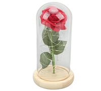 Rose éternelle dans un dôme en verre, rose enchantée lumineuse avec des lumières LED, cadeau romantique de rose artificielle pour la Saint-Valentin, l’anniversaire, décoration de m (Carthame à