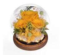 Rose éternelle dans un Verre avec Lumière, Beinhome fleurs Infinies Fait à la Main, Cadeau pour Femme Maman Grand-mère épouse Sœur Petite Amie, pour Anniversaire Saint-Valentin Noël Fête des Mères