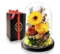 Rose Éternelle et Gerbera Stabilisée Fleurs Préservées | Cadeau de luxe avec Lumière LED | Parfait pour les Anniversaires | Cadeaux Noel, Saint-Valentin pour Femmes, Amie Épouse Maman et Grand-mère