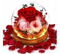 Rose Eternelle Fleur Eternel Rose Eternelle sous Cloche pour Femme Maman Noel Saint Valentin Fete Anniversaire Cadeau Coffret