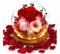 Rose Eternelle Fleur Eternel, Rose Eternelle sous Cloche pour Femme Maman, Noel Saint Valentin Fete Anniversaire, Cadeau Coffret
