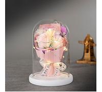 Rose Eternelle, Fleurs Artificielles sous Cloche,La Belle et la Bête Rose en Verre avec Lumières LED Pine Base pour Fête des Mères