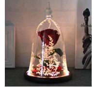 Rose éternelle - La Belle et la Bête - Rouge - Dôme en verre borosilicate - Lumières LED - Décoratif