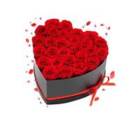 Rose Eternelle Lot de 27 Créant Des Moments Mémorables Boîte en Cour pour Noël