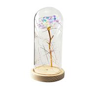 Rose éternelle préservée avec lumières LED et dôme en verre, cadeau romantique parfait pour les mariages, les anniversaires et les occasions spéciales