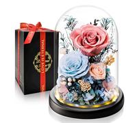 Rose Eternelle Préservée, Fleur Rosees Cadeau Femme, Idee Rosee Cadeau Anniversaire Noel Femme pour Elle, Maman Amie Épouse Sœur Mamie, Cadeau Amour Fete des Meres, Saint-Valentin