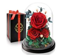 Rose Eternelle Préservée, Fleur Rouges Cadeau Femme, Idee Rosee Cadeau Anniversaire Noel Femme pour Elle, Maman Amie Épouse Sœur Mamie, Cadeau Amour Fete des Meres, Saint-Valentin