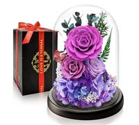 Rose Eternelle Préservée, Fleur Violettes Cadeau pour Noel, Saint-Valentin pour Femmes, Idee Rosee Cadeau Anniversaire Femme pour Elle, Maman Amie Épouse Sœur Mamie, Cadeaux Amour Fete des Meres