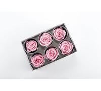 ROSE ETERNELLE (ROSE)