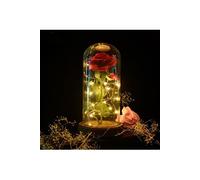 Rose Eternelle "Rose Belle et la Bete "MARSEE avec Soie Rose pour Mariage d'anniversaire de la Saint-Valentin Noël Cadeau de fête des mères