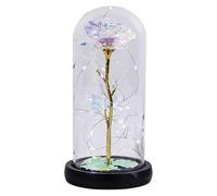 Rose éternelle - Roses lumineuses dans un dôme en verre | Roses dans un dôme en verre avec lumière LED, rose éternelle à piles pour femme, épouse, petite amie