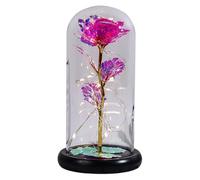 Rose éternelle - Roses lumineuses dans un dôme en verre | Roses dans un dôme en verre avec lumière LED, rose éternelle à piles pour femme, épouse, petite amie