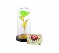 Rose éternelle sous cloche avec LED - coloris vert [Lunartec]