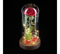 Rose éternelle Sous Cloche, Avec Lumière, Cadeau La Belle Et La Bête, Fleur Artificielle, Rouge - Relaxdays