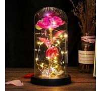Rose Eternelle sous Cloche Cadeau Femme - Rose eternelle avec Lumière LED - Saint Valentin Rose Galaxie de Lumineuses pour Elle, Fête des mères, Noël et Un Anniversaire (Rose)