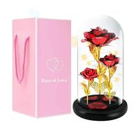 Rose Eternelle sous Cloche,Cadeau pour la Saint Valentin,Rose Eternelle Cadeaux de Fête des Mères,Artificielle Fleur Rose Lumière avec Lumières LED,Romantiques Cadeau pour Maman Anniversaire Femme