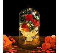 Rose éternelle sous cloche de verre avec lumière LED et base - Rouge - Objets décoratifs