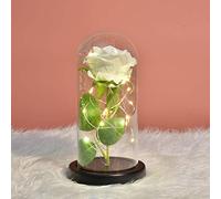 Rose Eternelle sous Cloche, Kit LED Light Enchantée avec Dôme en Verre - La Belle et La Bête en Soie pour Fête Mère, Saint Valentin, Anniversaire, Mariage - Symbole de l'Amour (Fleur Blanc)
