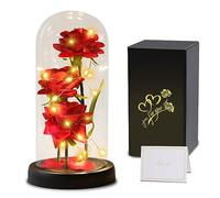 Rose Eternelle sous Cloche, la Saint-Valentin Cadeau pour Femmes avec LED,Fleur Eternelle sous Cloche,Rose Cadeau pour Femme Maman Mère Grand-mère,Rose Enchantée Idee Cadeau pour Anniversaire,Mariage