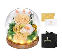 Rose Eternelle sous Cloche, LED, Fleur Eternelle Cadeau, Idée Boite Rose Eternel, Cadeau St-Valentin, Femme, Anniversaire, Copine, Amie, Fête des Mères, Mere, Grand Mere(Champagne)