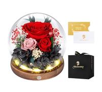 Rose Eternelle sous Cloche, LED, Fleur Eternelle Cadeau, Idée Boite Rose Eternel, Cadeau St-Valentin, Femme, Anniversaire, Copine, Amie, Fête des Mères, Mere, Grand Mere(Rose Rouge)