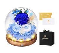Rose Eternelle sous Cloche, LED, Fleur Eternelle Cadeau, Idée Boite Rose Eternel, Cadeau St-Valentin, Femme, Anniversaire, Copine, Amie, Fête des Mères, Mere, Grand Mere(Rose Bleu)