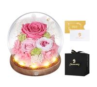 Rose Eternelle sous Cloche, LED, Fleur Eternelle Cadeau, Idée Boite Rose Eternel, Cadeau St-Valentin, Femme, Anniversaire, Copine, Amie, Fête des Mères, Mere, Grand Mere(Rose)