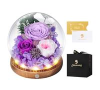 Rose Eternelle sous Cloche, LED, Fleur Eternelle Cadeau, Idée Boite Rose Eternel, Cadeau St-Valentin, Femme, Anniversaire, Copine, Amie, Fête des Mères, Mere, Grand Mere(Rose Violette)