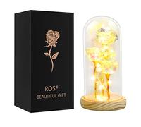 Rose Eternelle Sous Cloche Lumineuse Fleur éternelle Cadeau pour Femme Maman Mère Grand-mère, Cadeaux de Fleurs de Roses pour Anniversaire,Mariage,Noel,La Saint-Valentin,Fête des Mères (Argenté)