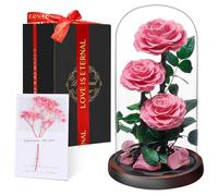 Rose Éternelle sous Cloche, Naturelle Fleur Eternelle Cadeau, Idée Boite Rose Eternel, Cadeau pour la Saint-Valentin, Fête des Mères, Noël, Anniversaire, Femme, Copine, Amie, Maman, Grand Mere