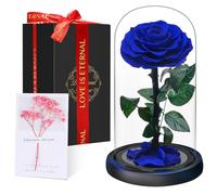 Rose Éternelle sous Cloche, Naturelle Fleur Eternelle Cadeau, Idée Boite Rose Eternel, Cadeau pour la Saint-Valentin, Fête des Mères, Noël, Anniversaire, Femme, Copine, Amie, Maman, Grand Mere