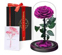 Rose Éternelle sous Cloche, Naturelle Fleur Eternelle Cadeau, Idée Boite Rose Eternel, Cadeau pour la Saint-Valentin, Fête des Mères, Noël, Anniversaire, Femme, Copine, Amie, Maman, Grand Mere