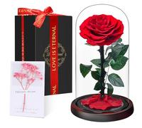 Rose Éternelle sous Cloche, Naturelle Fleur Eternelle Cadeau, Idée Boite Rose Eternel, Cadeau pour la Saint-Valentin, Fête des Mères, Noël, Anniversaire, Femme, Copine, Amie, Maman, Grand Mere