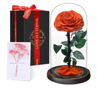 Rose Éternelle sous Cloche, Naturelle Fleur Eternelle Cadeau, Idée Boite Rose Eternel, Cadeau pour la Saint-Valentin, Fête des Mères, Noël, Anniversaire, Femme, Copine, Amie, Maman, Grand Mere