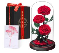 Rose Éternelle sous Cloche, Naturelle Fleur Eternelle Cadeau, Idée Boite Rose Eternel, Cadeau pour la Saint-Valentin, Fête des Mères, Noël, Anniversaire, Femme, Copine, Amie, Maman, Grand Mere