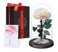 Rose Éternelle sous Cloche, Naturelle Fleur Eternelle Cadeau, Idée Boite Rose Eternel, Cadeau pour la Saint-Valentin, Fête des Mères, Noël, Anniversaire, Femme, Copine, Amie, Maman, Grand Mere