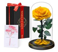 Rose Éternelle sous Cloche, Naturelle Fleur Eternelle Cadeau, Idée Boite Rose Eternel, Cadeau pour la Saint-Valentin, Fête des Mères, Noël, Anniversaire, Femme, Copine, Amie, Maman, Grand Mere