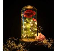 Rose Eternelle sous Cloche, Rose Enchantée la Belle et la Bete, Fleur Eternelle avec Lumière LED, Dôme en Verre et Base en Bois, Cadeau pour Mères, Femme Fête Anniversaire Mariage