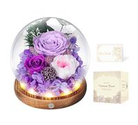 Rose Éternelle Violette sous Cloche avec LED, Fleur Éternelle, Cadeau Femme | Fleurs Préservées sans Entretien,Cadeau Fête des Mères, Saint-Valentin ou Anniversaire, pour Femme, Maman, Grand-Mère ou Amie