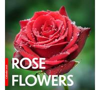 Rose Flowers 2026 Calendar: Beautiful Roses in Bloom - A Year of Floral Elegance, Color, and Natural Beauty