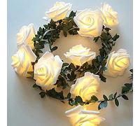 Rose guirlande lumineuse aux feuilles vertes,Runaup 9,8ft 20LED blanc chaud fleurs de rotin lumières féériques,alimenté par pile lumières décoratives pour Anniversaire fête mariage vacances