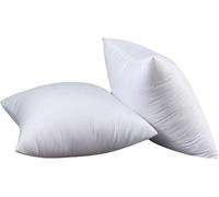 Rose imprimé Coussin pour lit Oreiller Set de 2 coussins intérieurs Hypoallergénique anti-acariens Remplissage de coussin doux avec taie d'oreiller Coton et Polyes. Oreiller amovible et lavable pour l