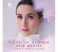 Rose in Bloom